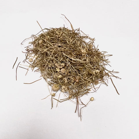 GuJingCao <br>  穀精草 <br> Flos Eriocauli