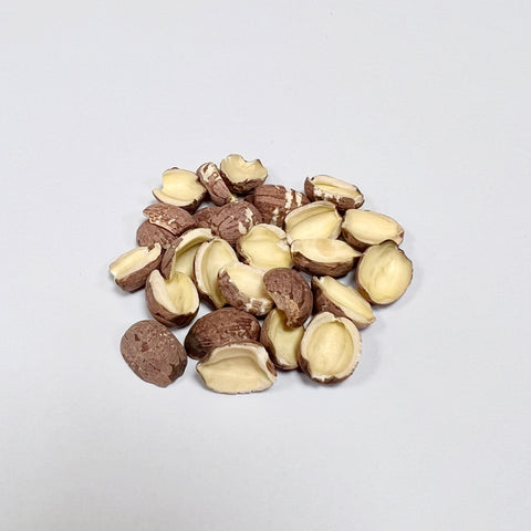 Semen Nelumbinis<br>莲子<br>LianZi