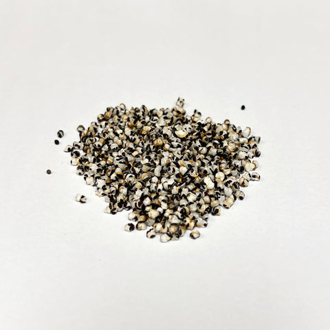 Semen Vaccariae Preparata<br>王不留行（炒）<br>WangBuLiuXing(Chao)